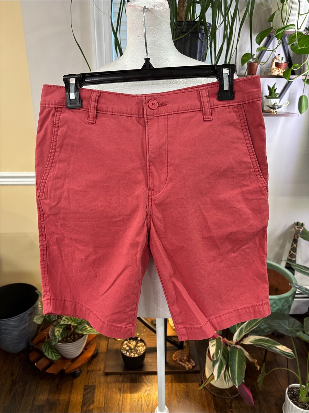 Levi’s Men's Coral Cotton chino Shorts size 30